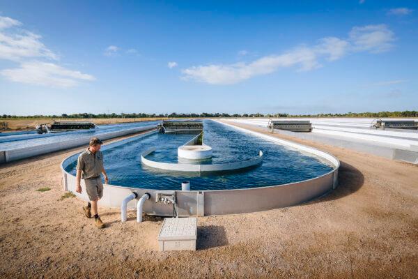 RegenAqua Burdekin Facility (supplied).