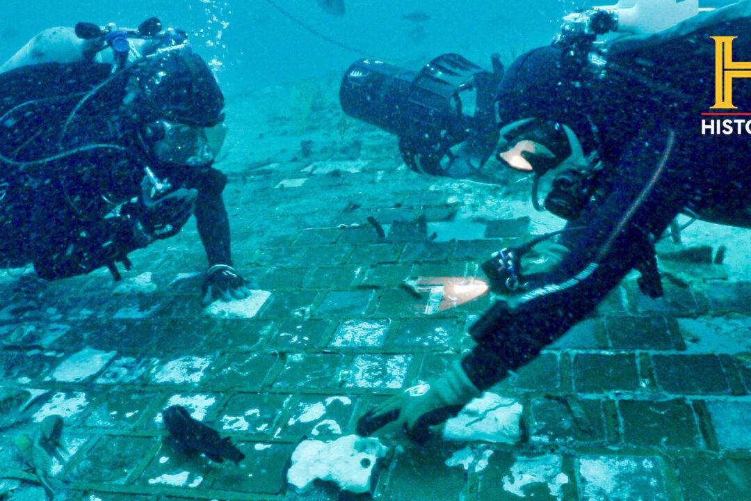 Divers Find Challenger Space Shuttle Wreckage Off Florida Coast
