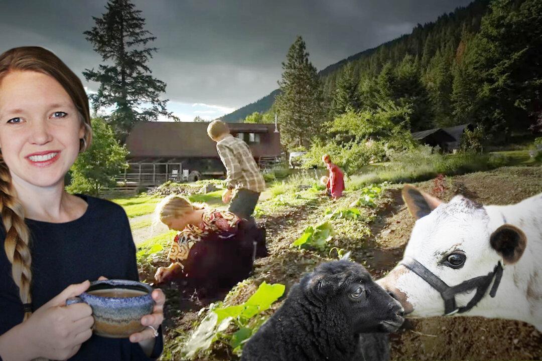 SoCal Couple Start Homestead in North Idaho to Grow Own Food, Raise 10 Kids in Traditional Lifestyle