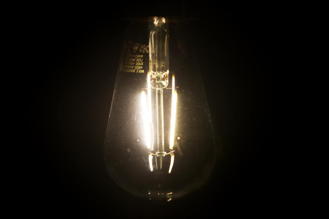 Labor’s New Energy Price Cap Will Drive Prices up and Alienate Investors, Opposition Leader Warns