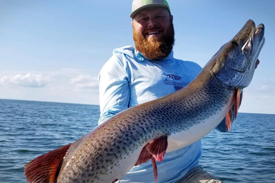 Angler Reels in Monster Muskie From Minnesota Lake, Garners State Record—And Has the Photos to Prove It