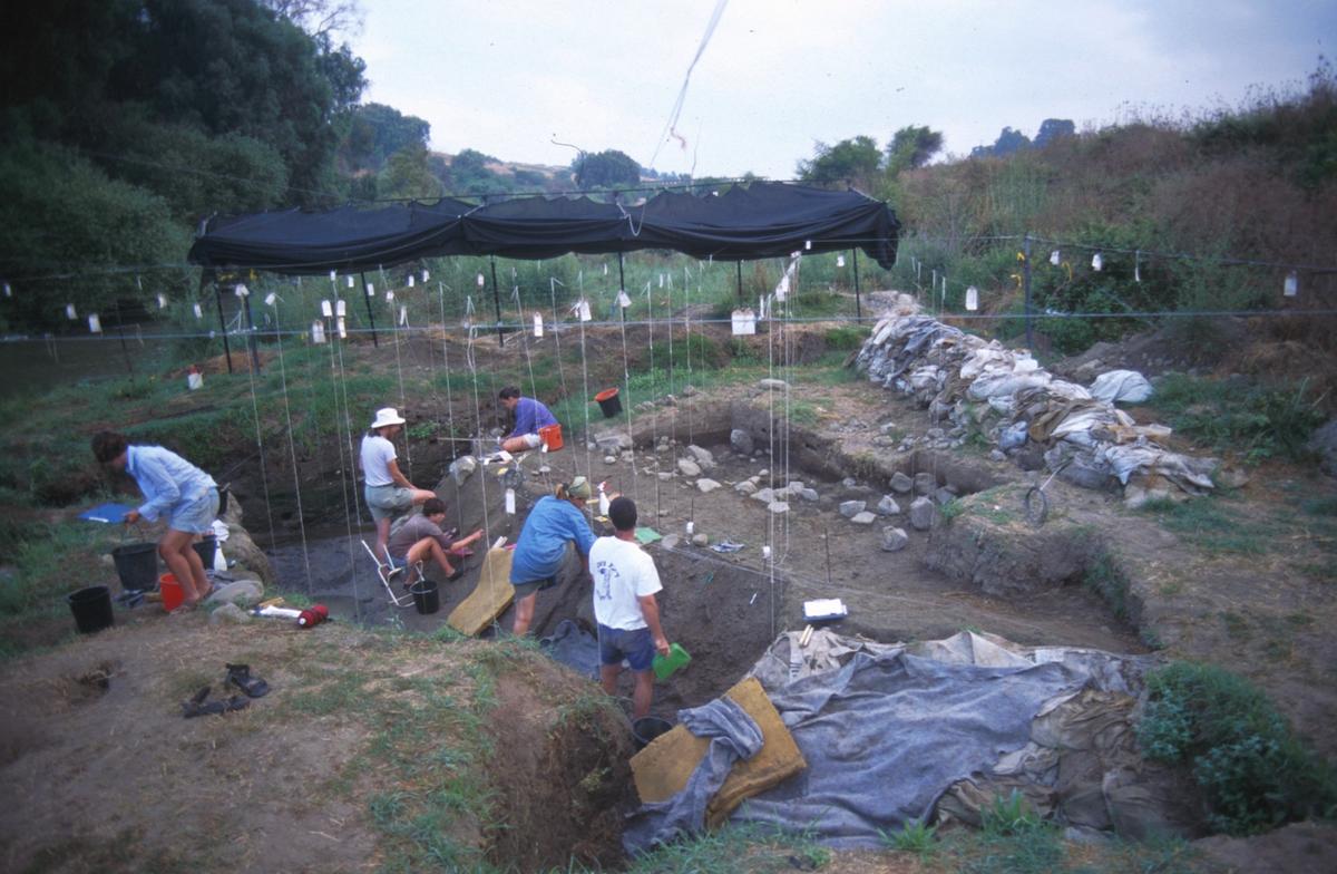 Scientists Find Oldest Evidence of Controlled Use of Fire to Cook Food