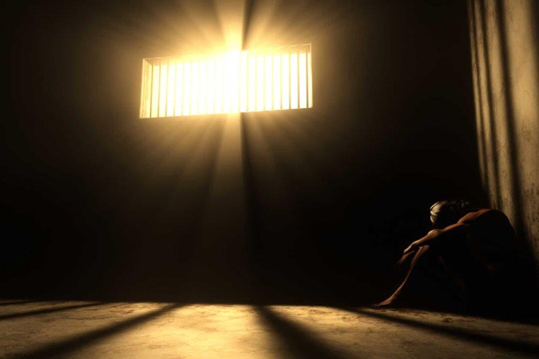 They Will Lock You Down Again