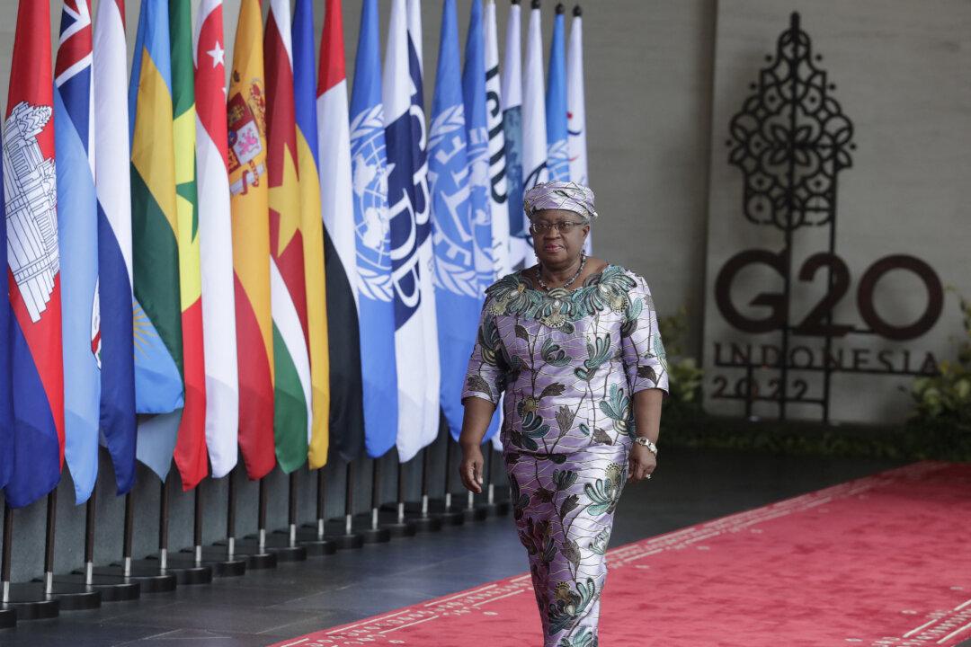 WTO Warns of ‘Real’ Recession Risk in Some Major Economies