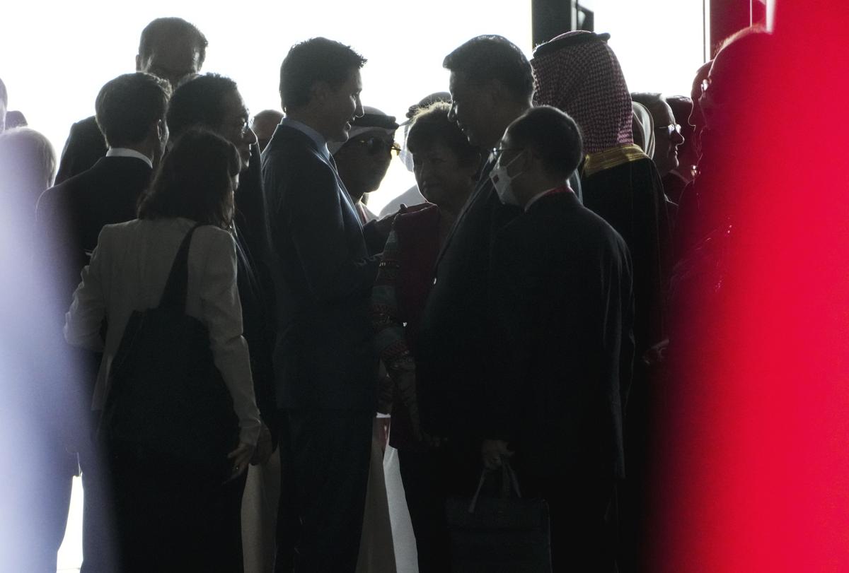 Chinese-Canadians Say Cabinet Must ‘Stand Up’ to Beijing Even If It Worsens Relationship: Internal Federal Poll