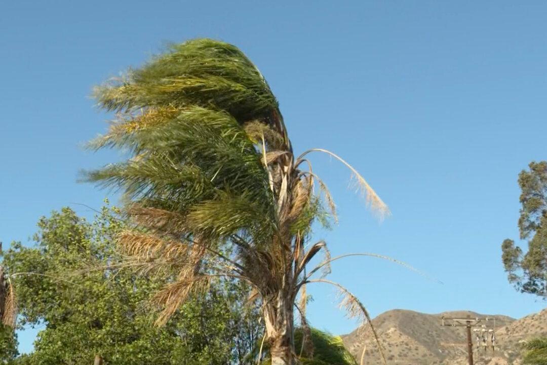 Powerful Santa Ana Winds Lash Southern California