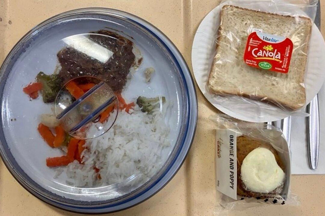 Vegan ESG Investors Want Plant-Based Food Options in America’s Hospitals