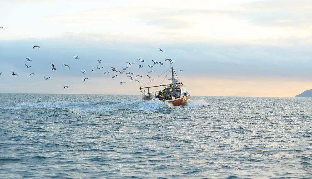 Investing in Vintage Fishing and Boating Gear