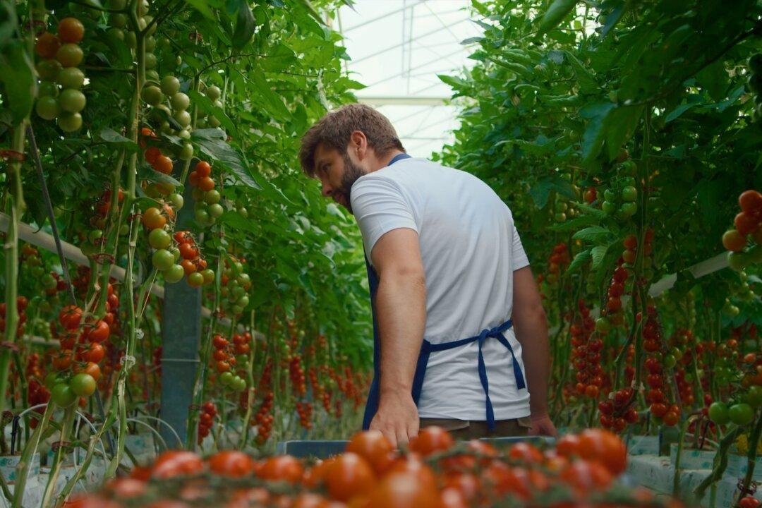 Is the ‘Organic’ Produce You’re Buying Really Organic?