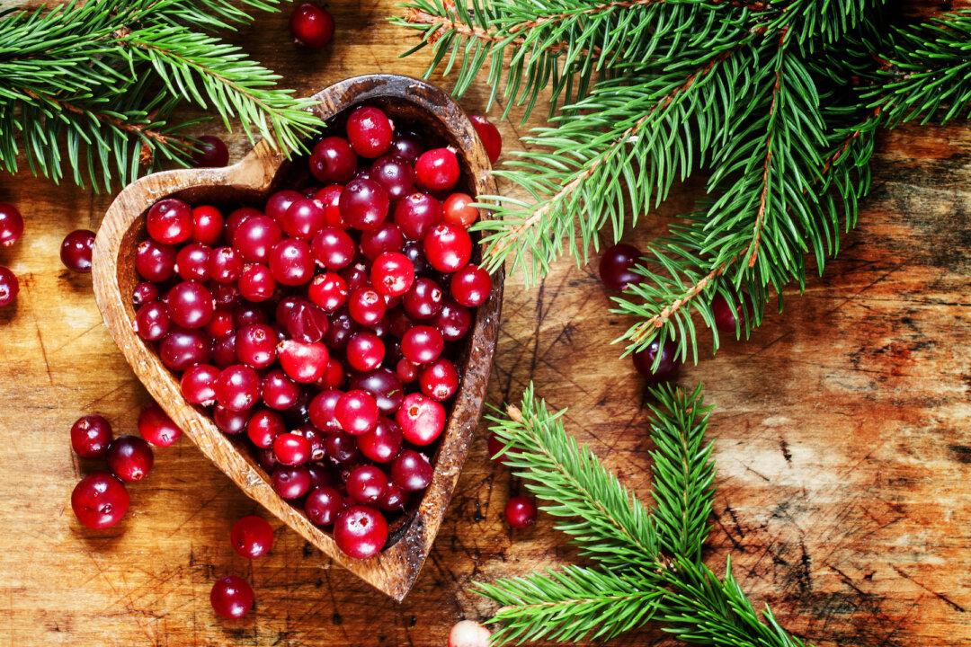 Cranberries Offer Stunning Neuroprotective Benefits, New Study Suggests