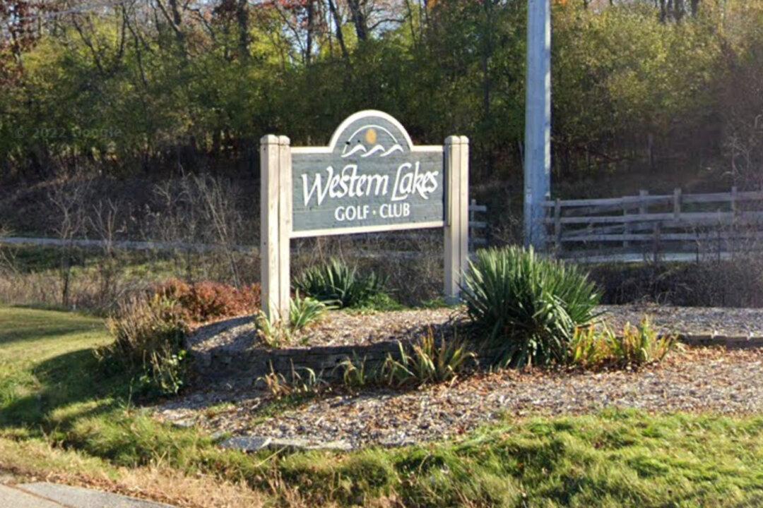 3 People, 56 Dogs Survive US Emergency Landing