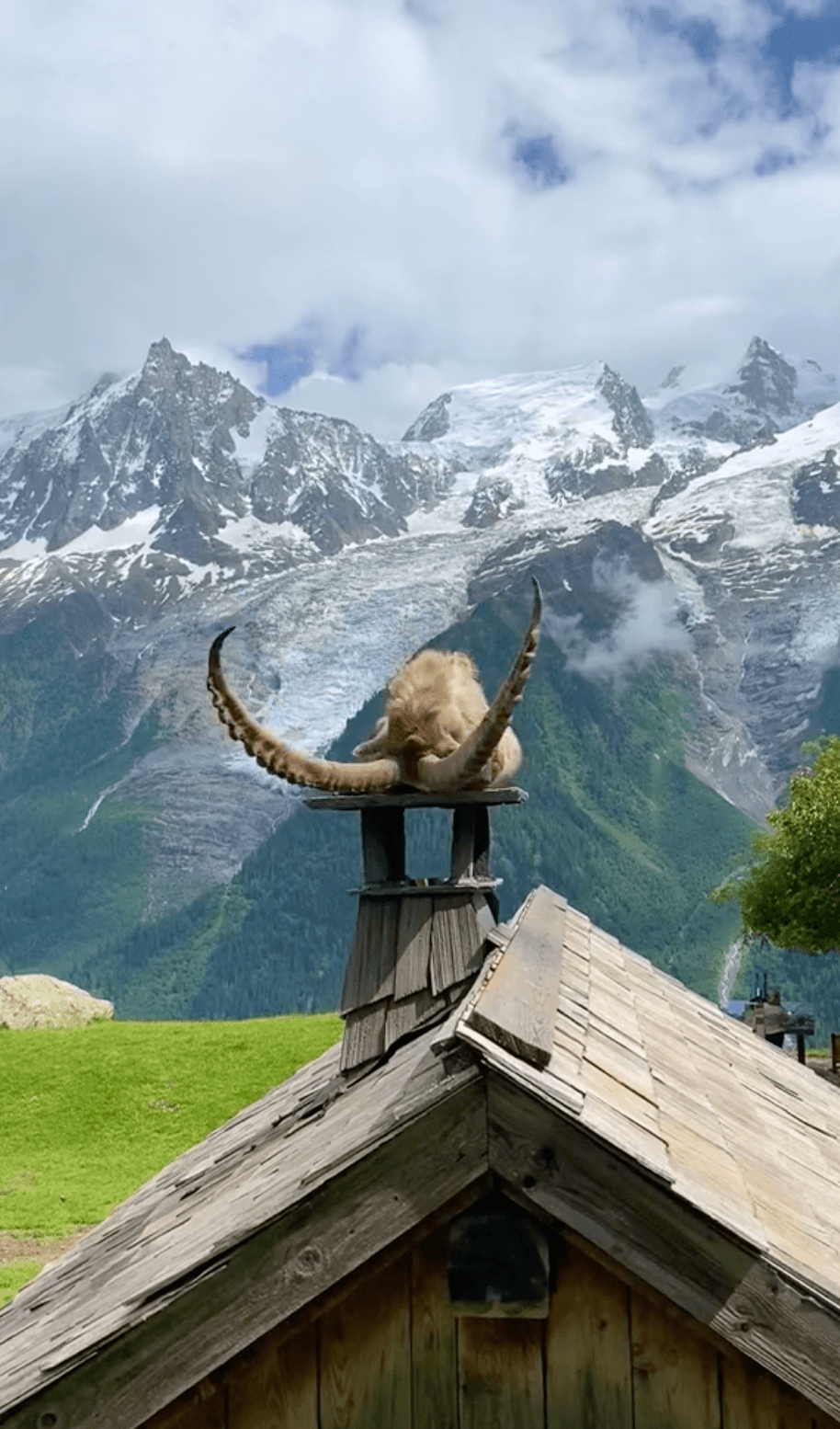 (Courtesy of Julien Grincajgier)