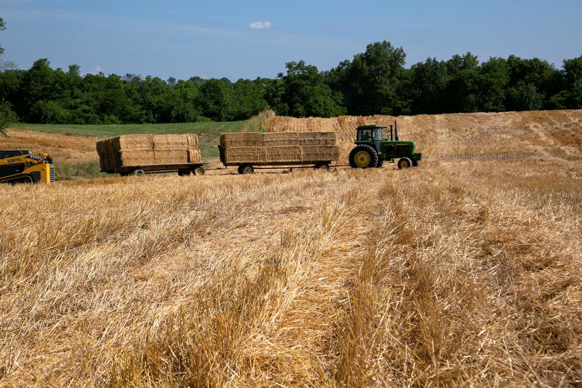 End of Cheap Money for US Farmers Plows Trouble Into Food Production