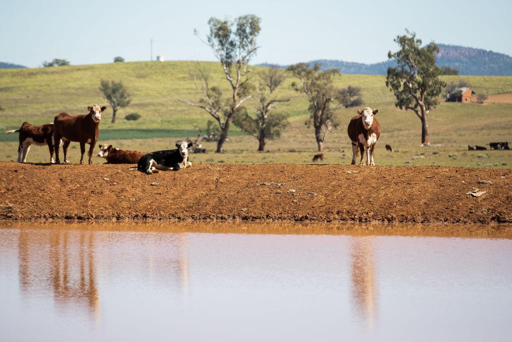 Australian Government Urged to Divert New Immigrants to Regional Areas