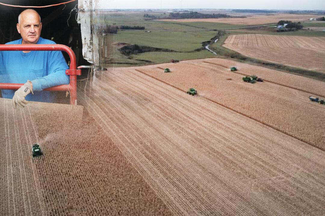 100 Farmers, Neighbors Help Harvest Iowa Farmer’s Crops After He Died Suddenly From Cancer