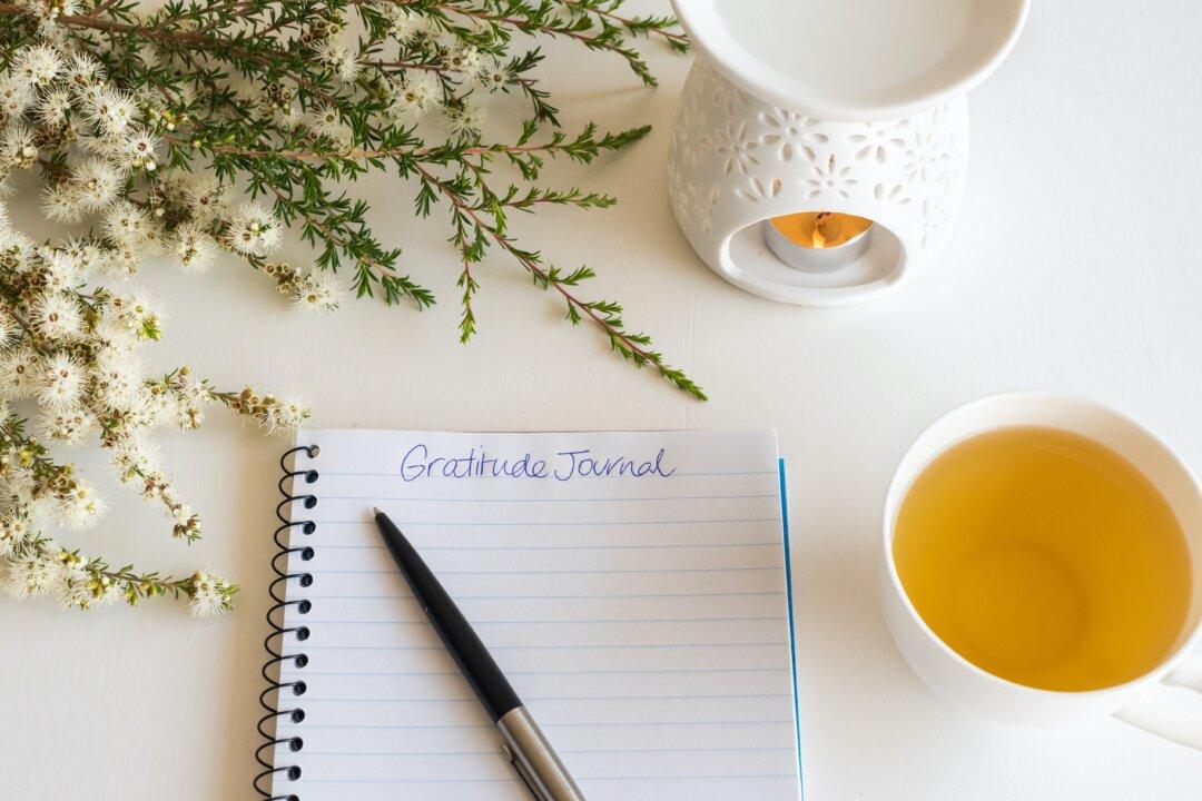 Let’s Make Every Day Thanksgiving!