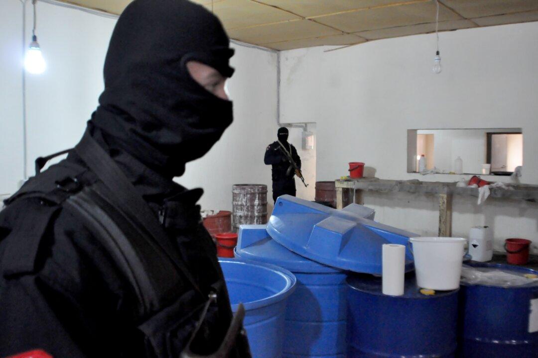 Nearly Half a Ton of Cocaine Seized in Albania, 10 Arrested