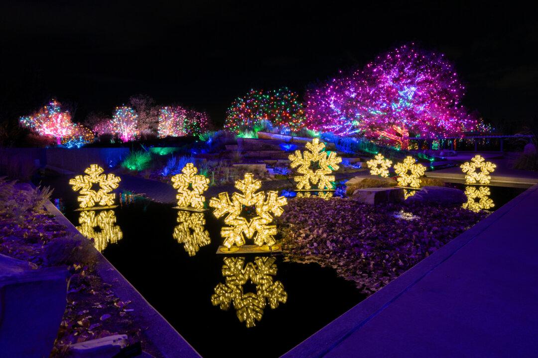 Taking the Kids: To See the Best and Brightest Holiday Lights