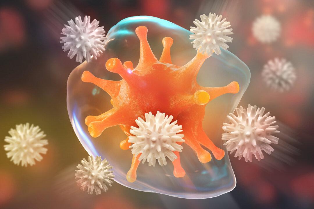 How Cells Use Nutrients When Viruses Attack May Affect Disease Severity