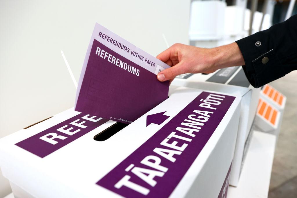 Sweeping Changes Proposed to NZ Electoral System ‘Straight From Green Party Manifesto’: ACT Leader