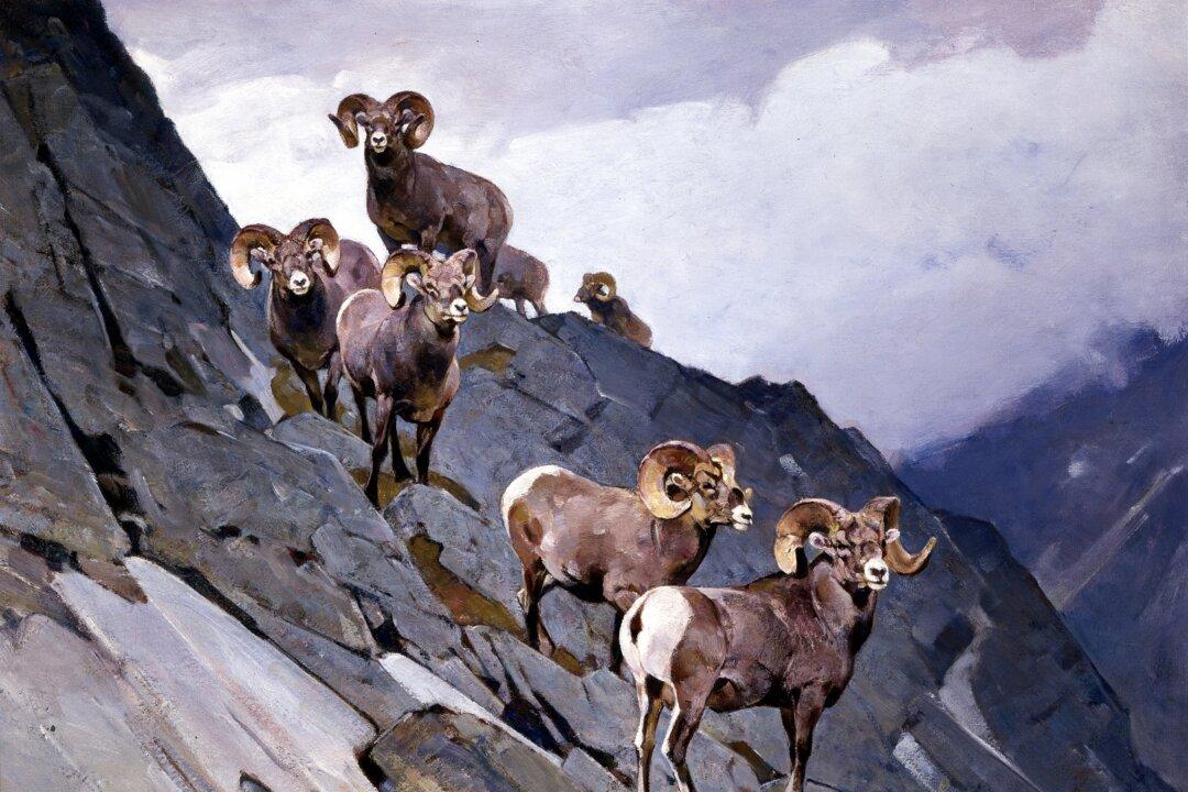 Beauty Is a Vacation: Exploring the Works of Wildlife Artist Carl Rungius