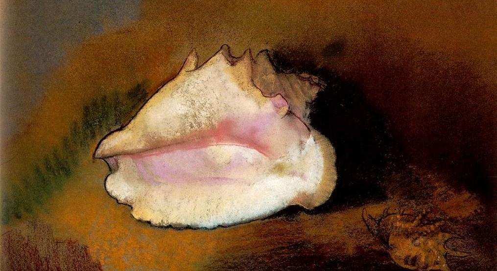 Book Recommendation: ‘Gift From the Sea’: Inspiration From Seashells