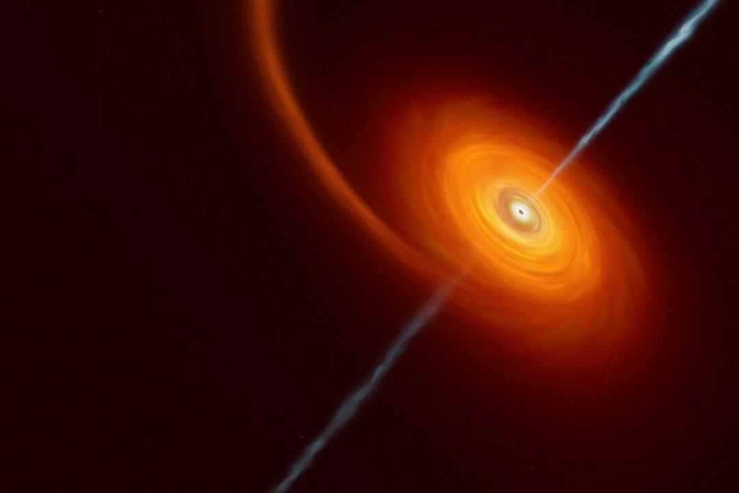 Distant Black Hole Is Caught in the Act of Annihilating a Star
