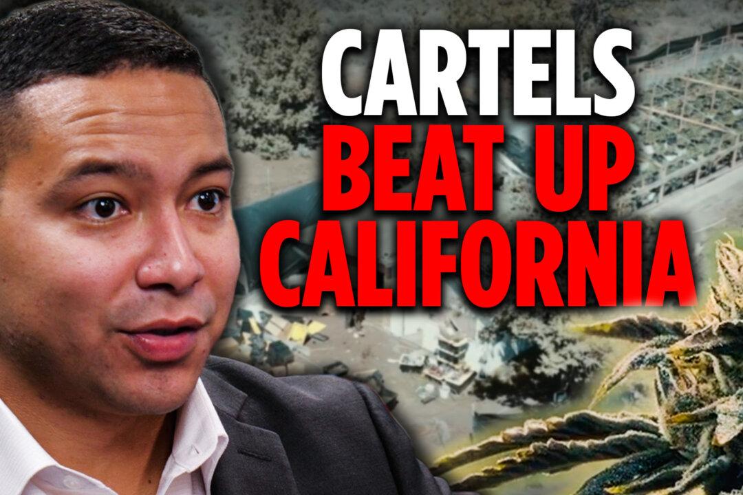 How Cartels Successfully Take Over Northern California | Jorge Ventura