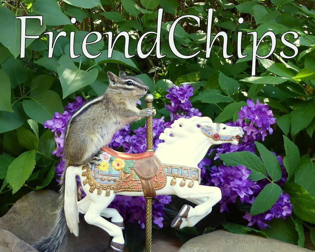 (Courtesy of <a href="https://formingfriendchips.com/">Christie Pierce</a>)