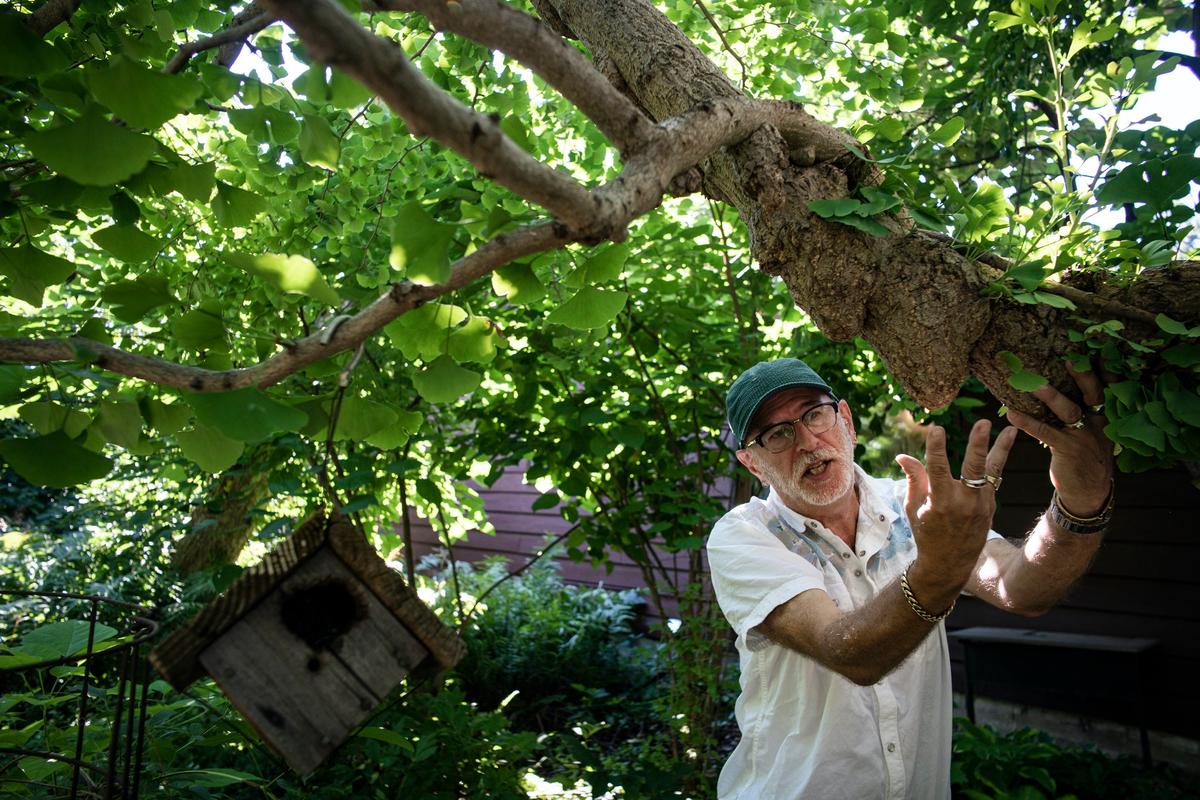Minn. Garden With Ginkgo Forests and Rare Plants Offers ‘Series of Puzzles’