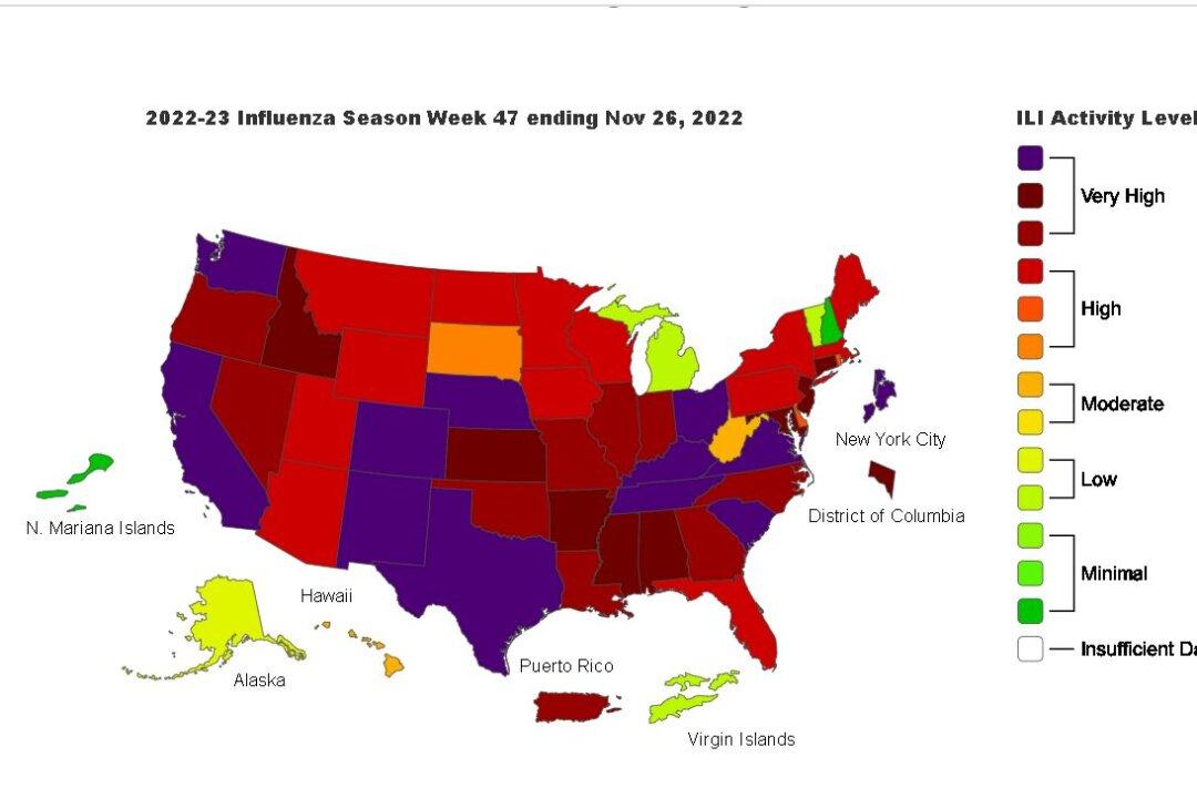 CDC Alert: 44 States Experiencing High Levels of Respiratory Illness