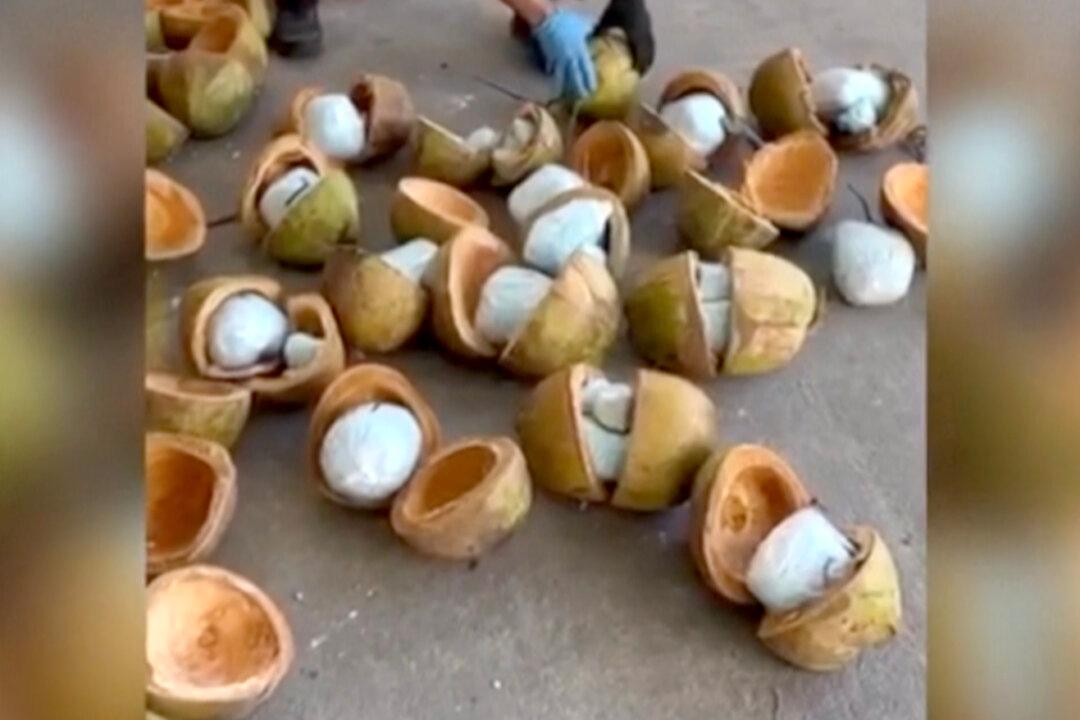 The China–Mexican Drug Cartel–Shoplifting Connection