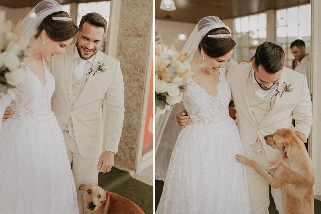 Newlywed Couple Adopts the Stray Dog That Crashed Their Wedding Ceremony