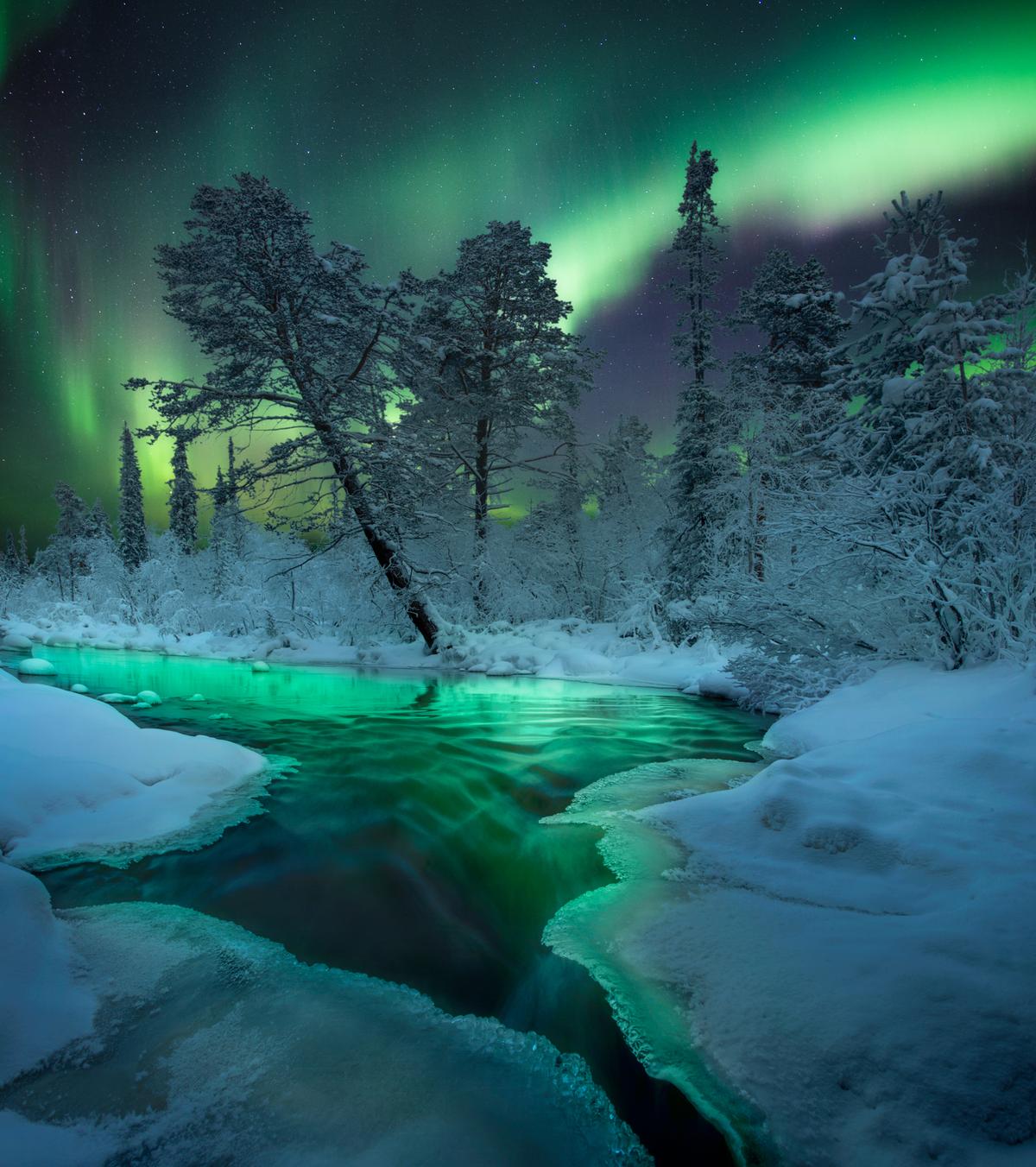 "Magic Night" by Anastasia & Aleksey R. (Courtesy of Anastasia & Aleksey R)
