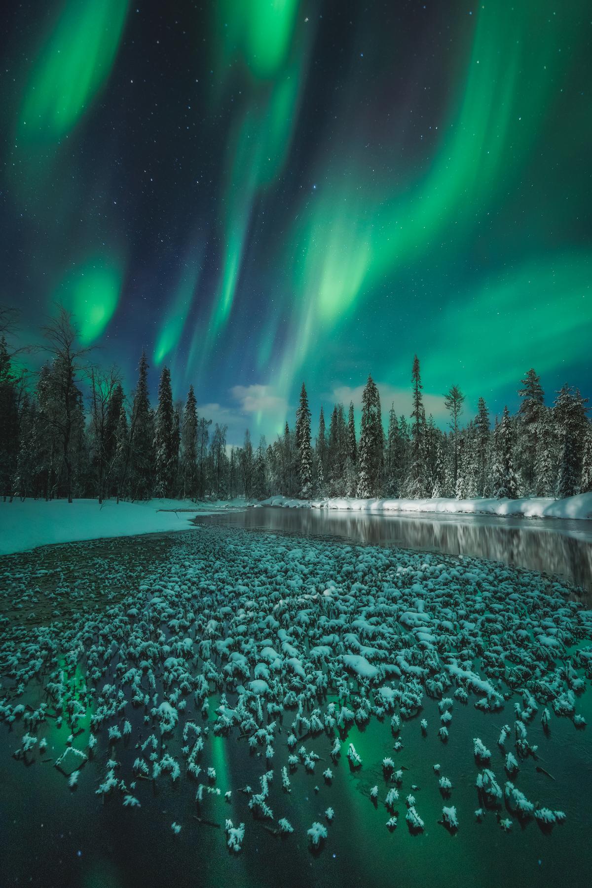 "Emerald Howl" by Itai Monnickendam. (Courtesy of Itai Monnickendam)