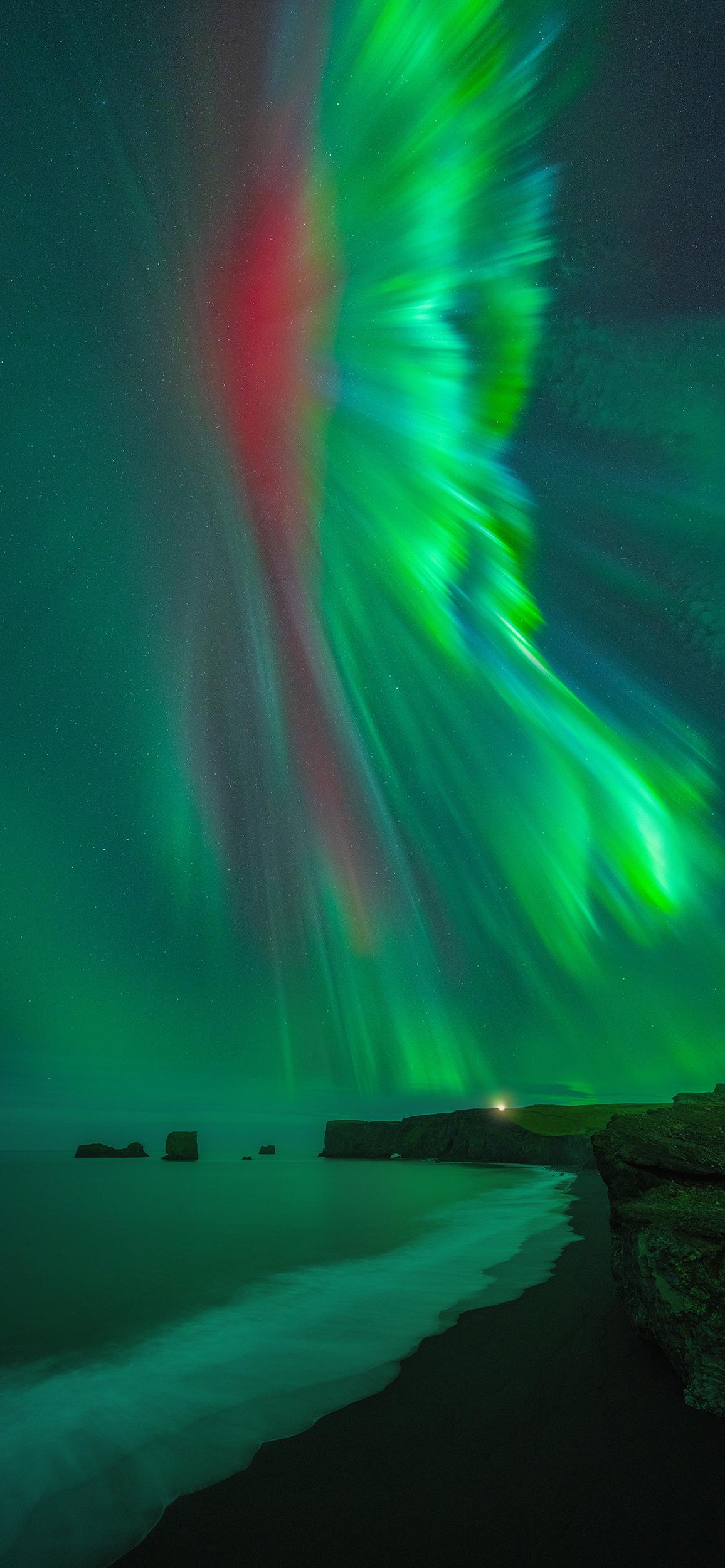 "Nordic Quetzal" by Luis Solano Pochet. (Courtesy of Luis Solano Pochet)