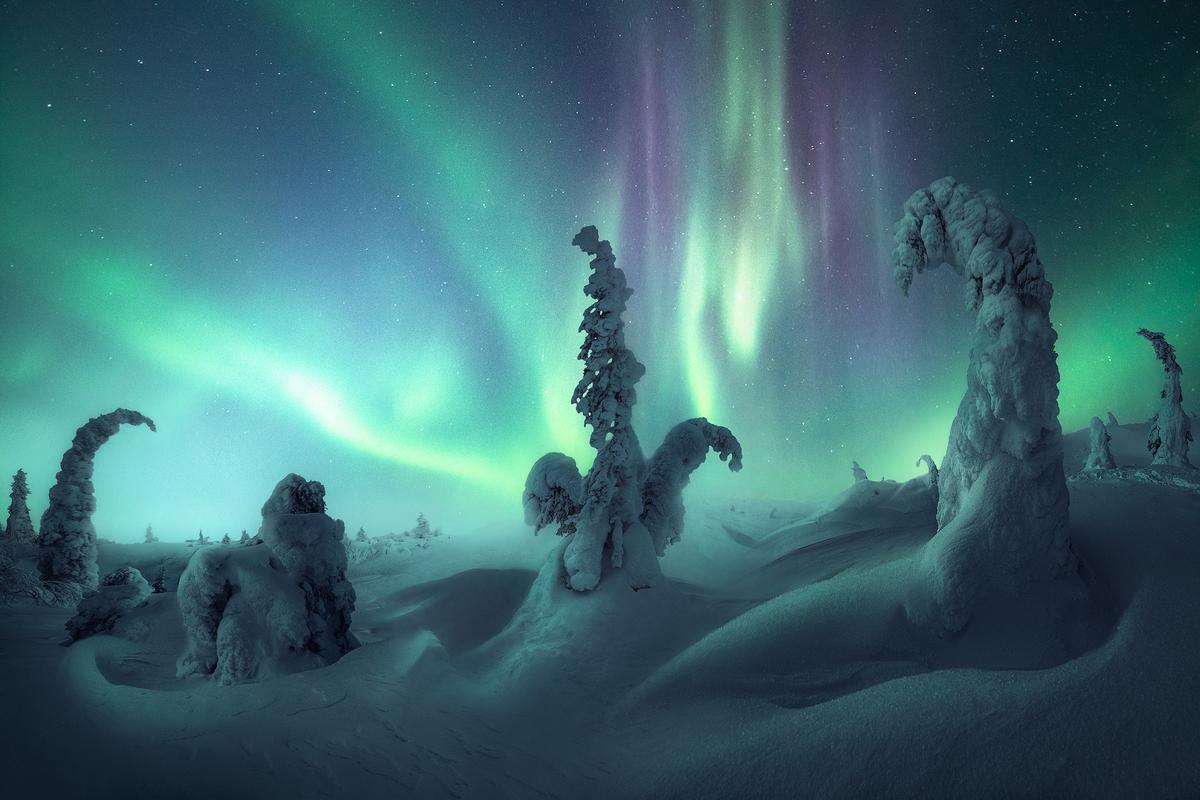 "Polaris Dream" by Nico Rinaldi. (Courtesy of Nico Rinaldi)