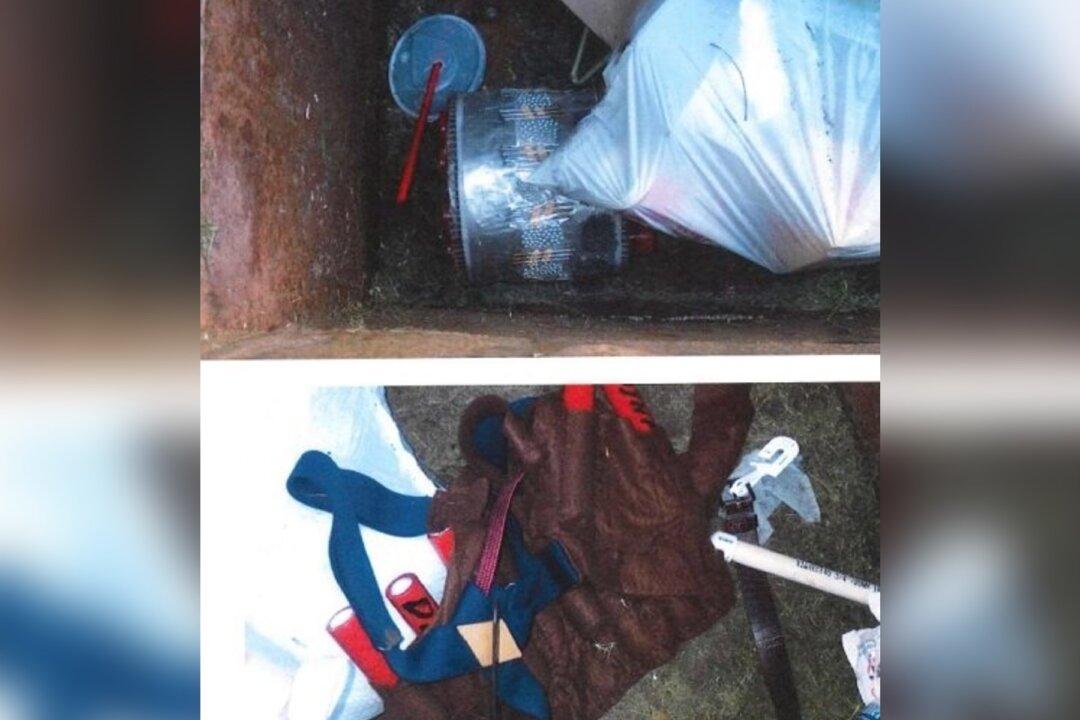 Man Who Plotted to Blow Up Texas High School Pleads Guilty to Weapons of Mass Destruction Charge