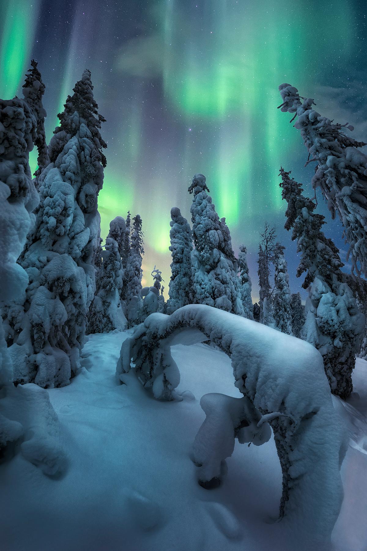"Spirits of Winter" by Unai Larraya. (Courtesy of Unai Larraya)