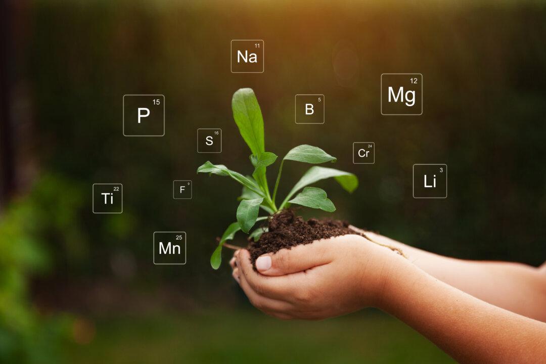 Soil Depletion and What It Means to You