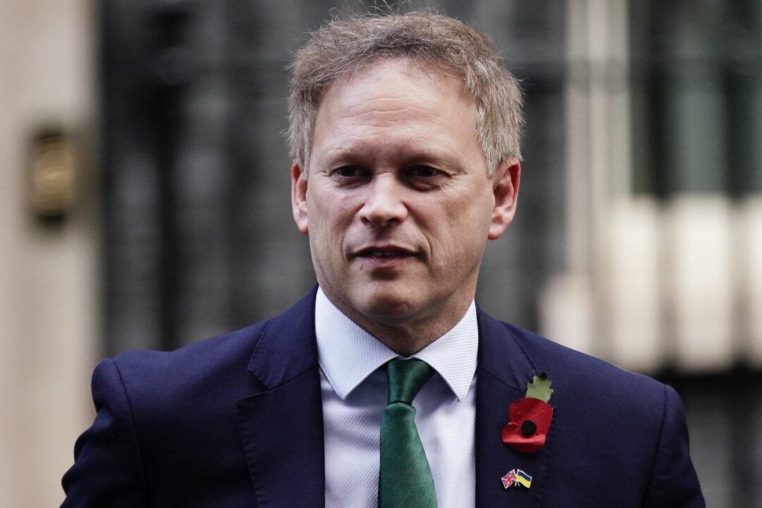 UK Government Intervenes in Chinese Takeover of Shell Company Over Risks to National Grid