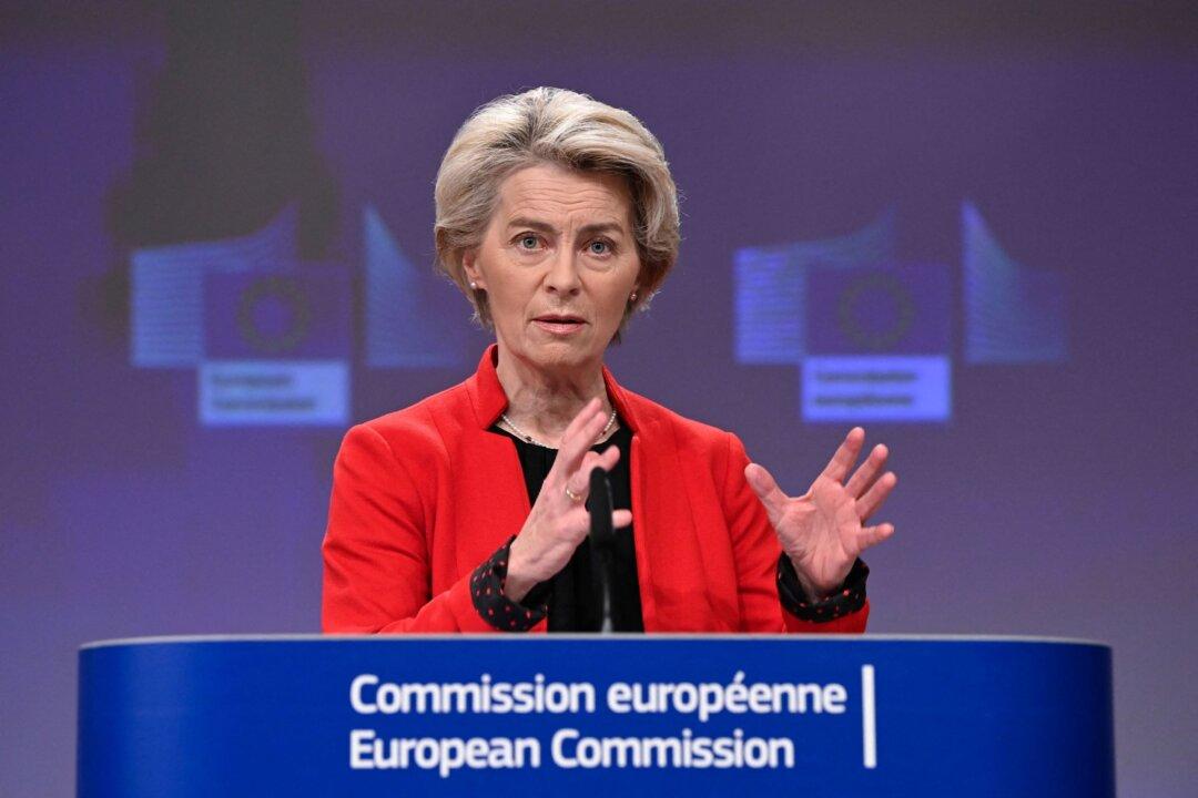 EU Could Face Gas Shortage Next Year, IEA Warns