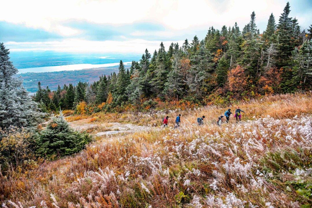 Conservative MPs Say New Parks Bill Violates Charter Rights Against Unreasonable Search and Seizure