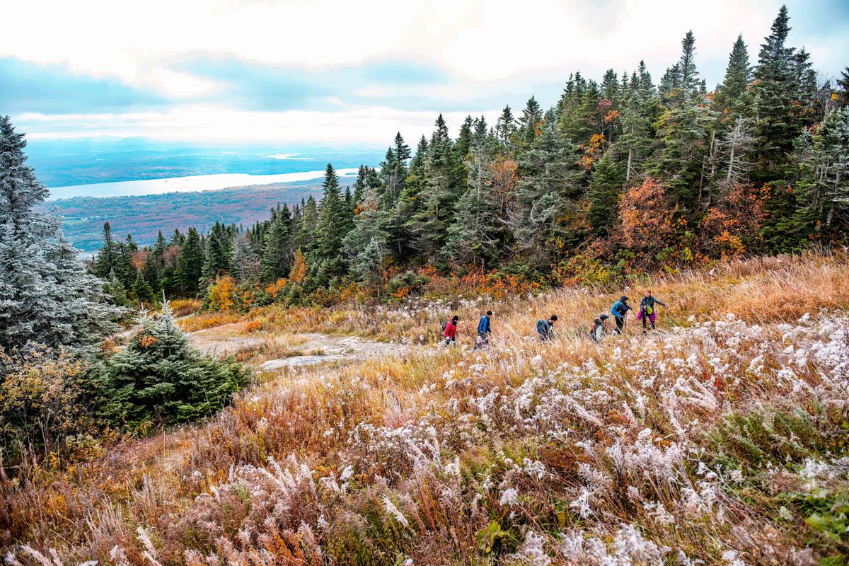 Conservative MPs Say New Parks Bill Violates Charter Rights Against Unreasonable Search and Seizure