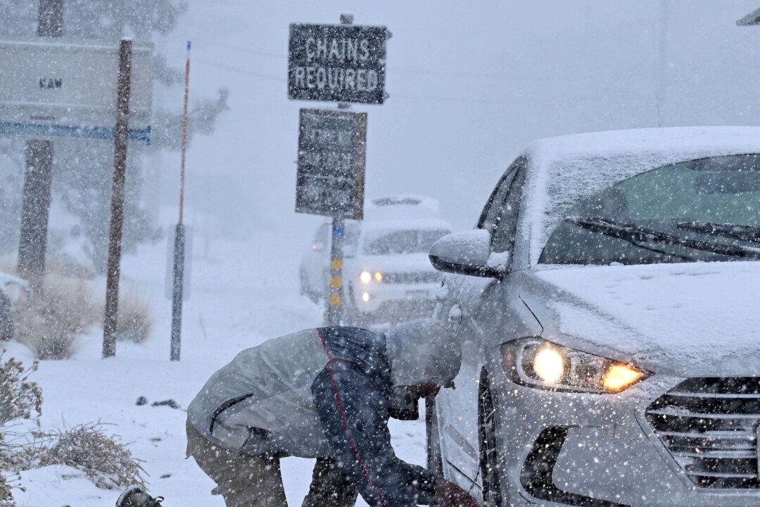 Winter Storm Adds Uncertainty to Strong Holiday Travel Demand