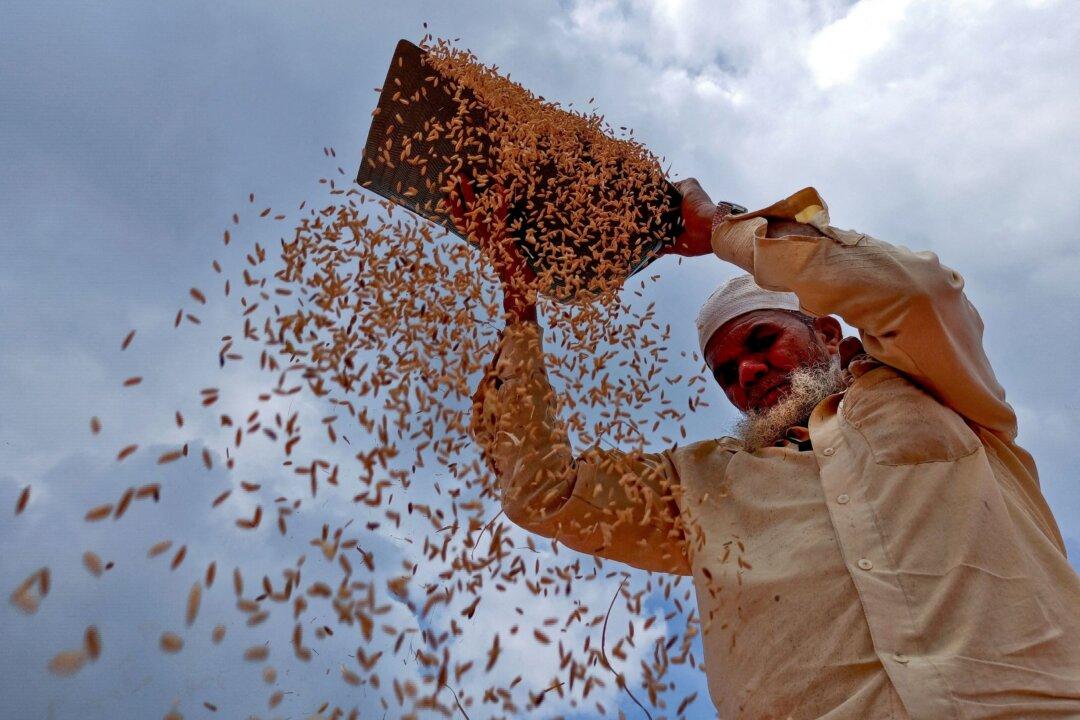 Food Inflation: Tight Grain, Oilseed Supplies to Keep Prices Elevated