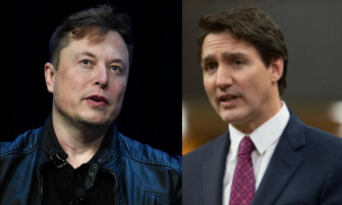 AI Clips of Trudeau, Musk Used in $1.9M Edmonton Investment Scam