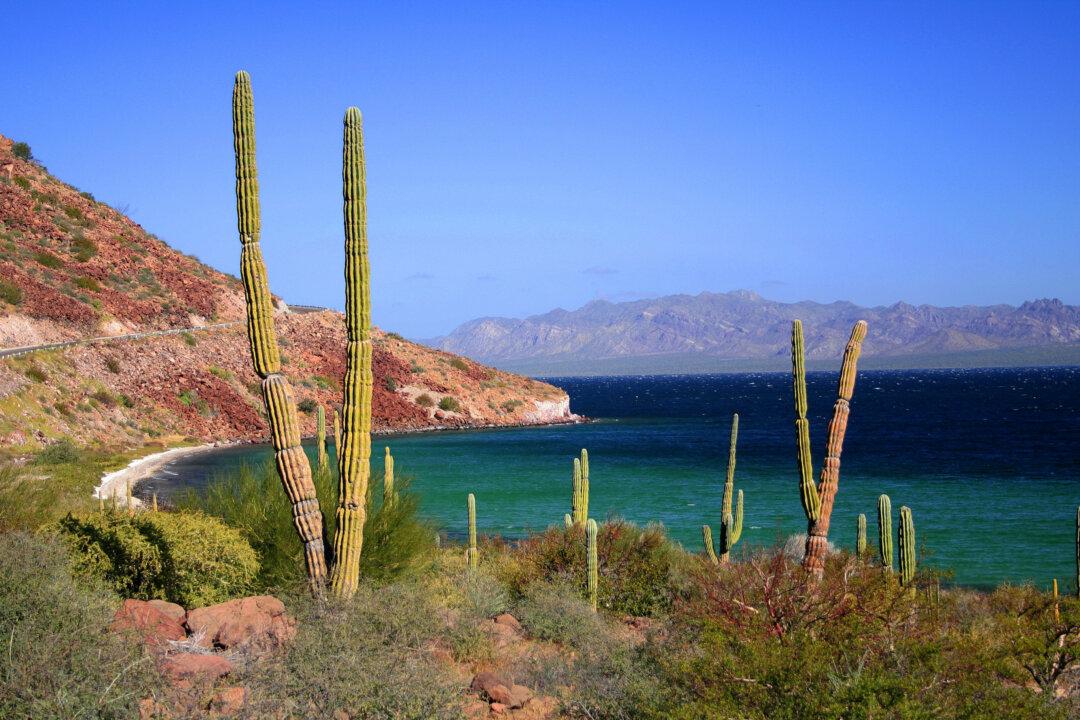 Isla Coronado a Treasure of the Loreto Landscape