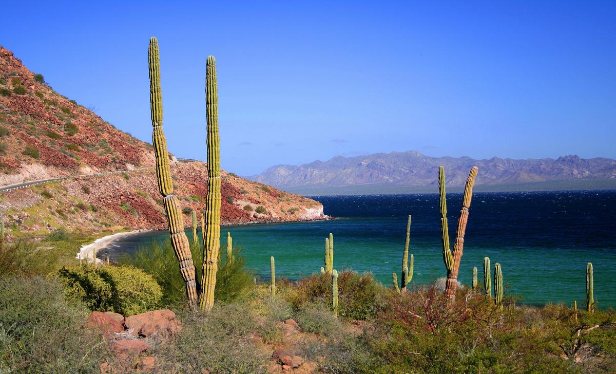 Isla Coronado a Treasure of the Loreto Landscape