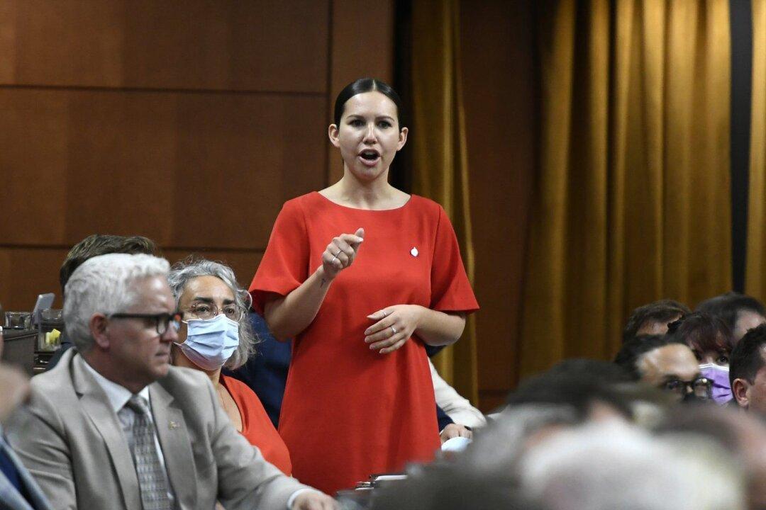 MPs Put Discussion of Gun Bill on Pause for Holidays Amid Concern Over Hunting Rifles